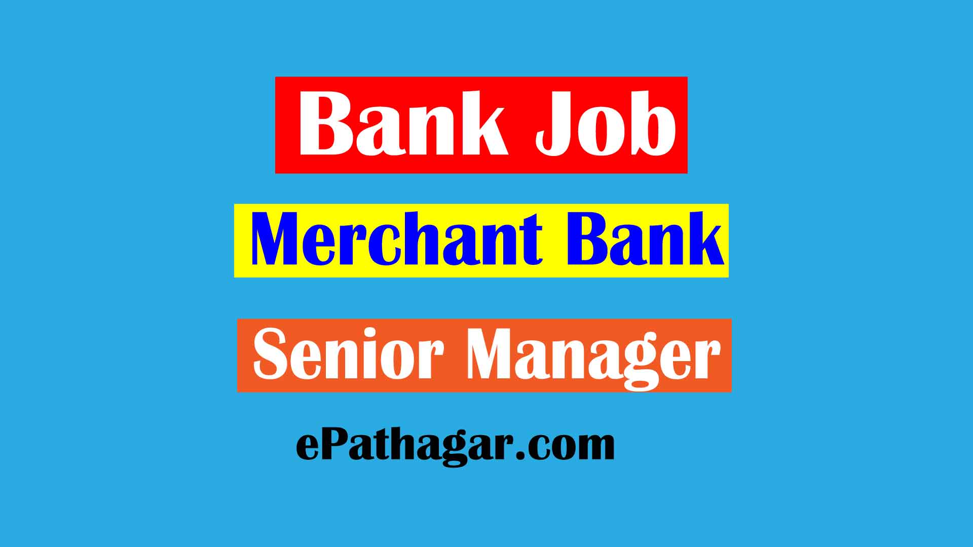 Bank Job-Merchant Bank-Senior Manager (Portfolio Management Department)