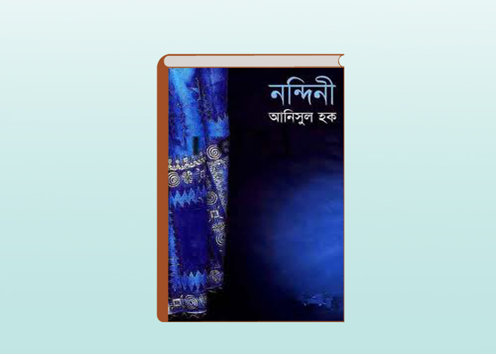 DOWNLOAD BANGLA STORY BOOK ‘NANDINI’ BY ANISUL HAQUE