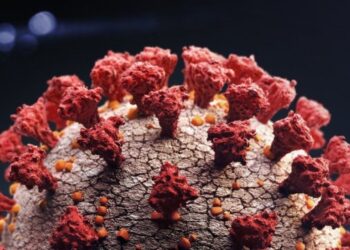 Dynamic charts and graphs demo page