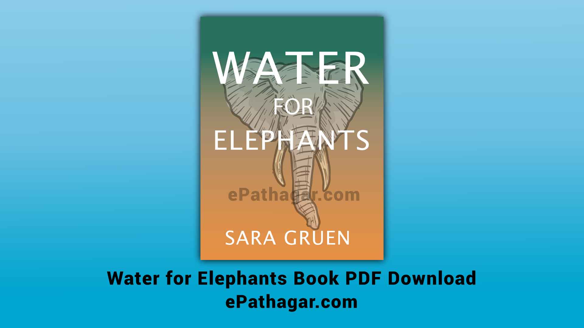 Water for Elephants Summary & Book PDF Download