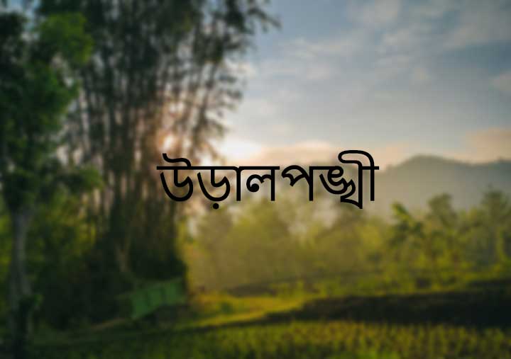 উড়ালপঙ্খী – হুমায়ুন আহমেদ – PDF Download Free