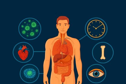 human body exciting unknown fact