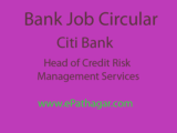 Bank Job-Citi Bank-Head of Credit Risk Management Services, Treasury Operations and Securities Services Operations