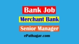 Bank Job-Merchant Bank-Senior Manager (Portfolio Management Department)