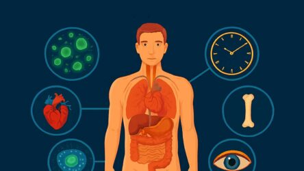 মানব শরীরের অবাক করা ৫ টি তথ্য