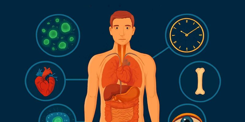 মানব শরীরের অবাক করা ৫ টি তথ্য