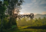 উড়ালপঙ্খী – হুমায়ুন আহমেদ – PDF Download Free