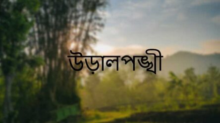 উড়ালপঙ্খী – হুমায়ুন আহমেদ – PDF Download Free