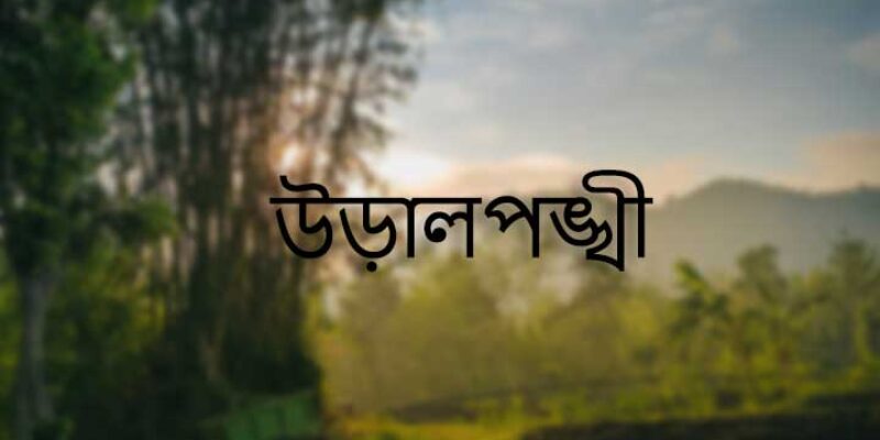 উড়ালপঙ্খী – হুমায়ুন আহমেদ – PDF Download Free